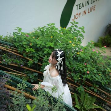 Cát Tường MICO Live profile