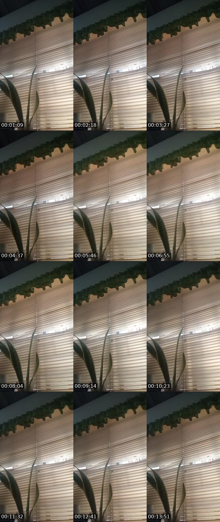 Contact-sheet preview of ☪️🐈Miley_🍁MHA🪽⁷⁷⁴¹'s MICO Live recording