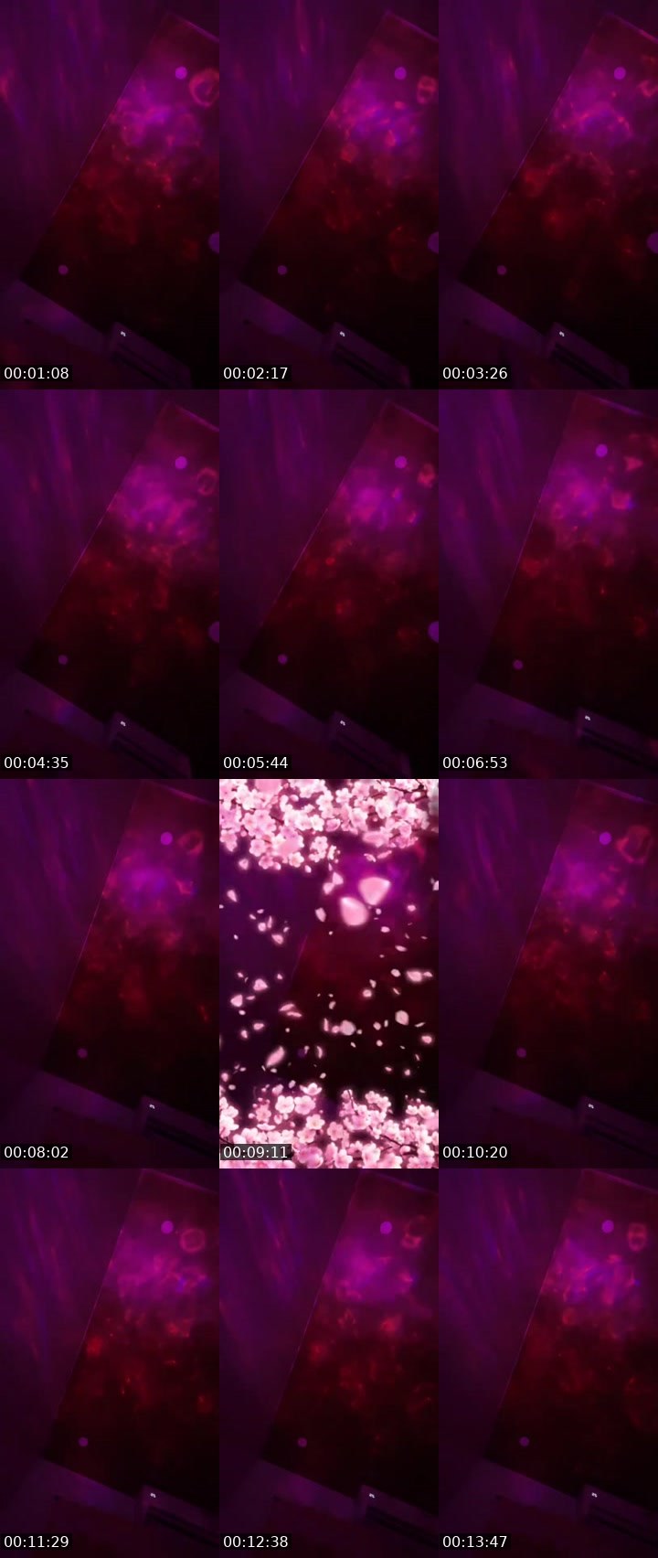 Contact-sheet preview of 🌌㋡𝕃aīꈤꫀׁׅᴹᴼᴼᴺ🌻's MICO Live recording