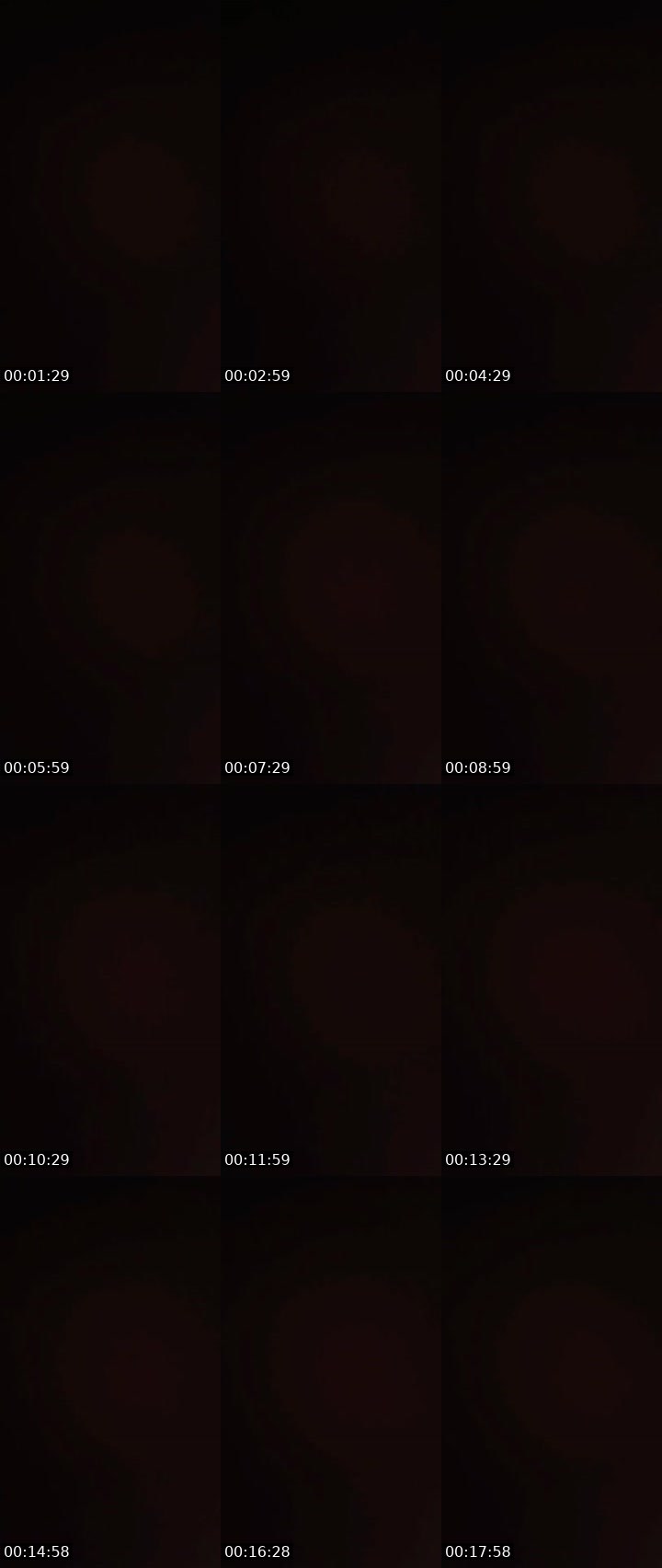 Contact-sheet preview of 🙀ᴸᴹMARGO💠🦋's MICO Live recording