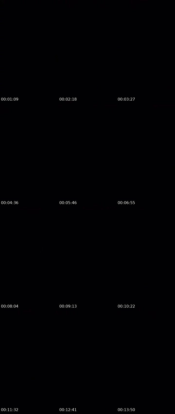 Contact-sheet preview of ❤️A’R🥀ᴴᵘⁿᵗᵉʳ's MICO Live recording