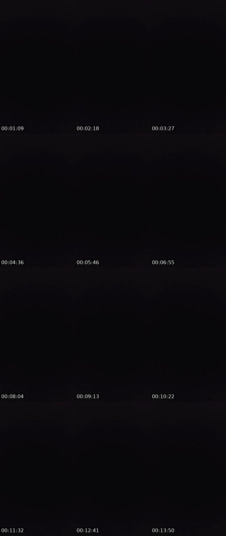 Contact-sheet preview of 〄ᶫ LΞG i̶〄И's MICO Live recording