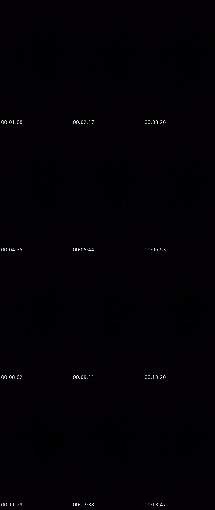 Contact-sheet preview of notyourboo - patroli's MICO Live recording