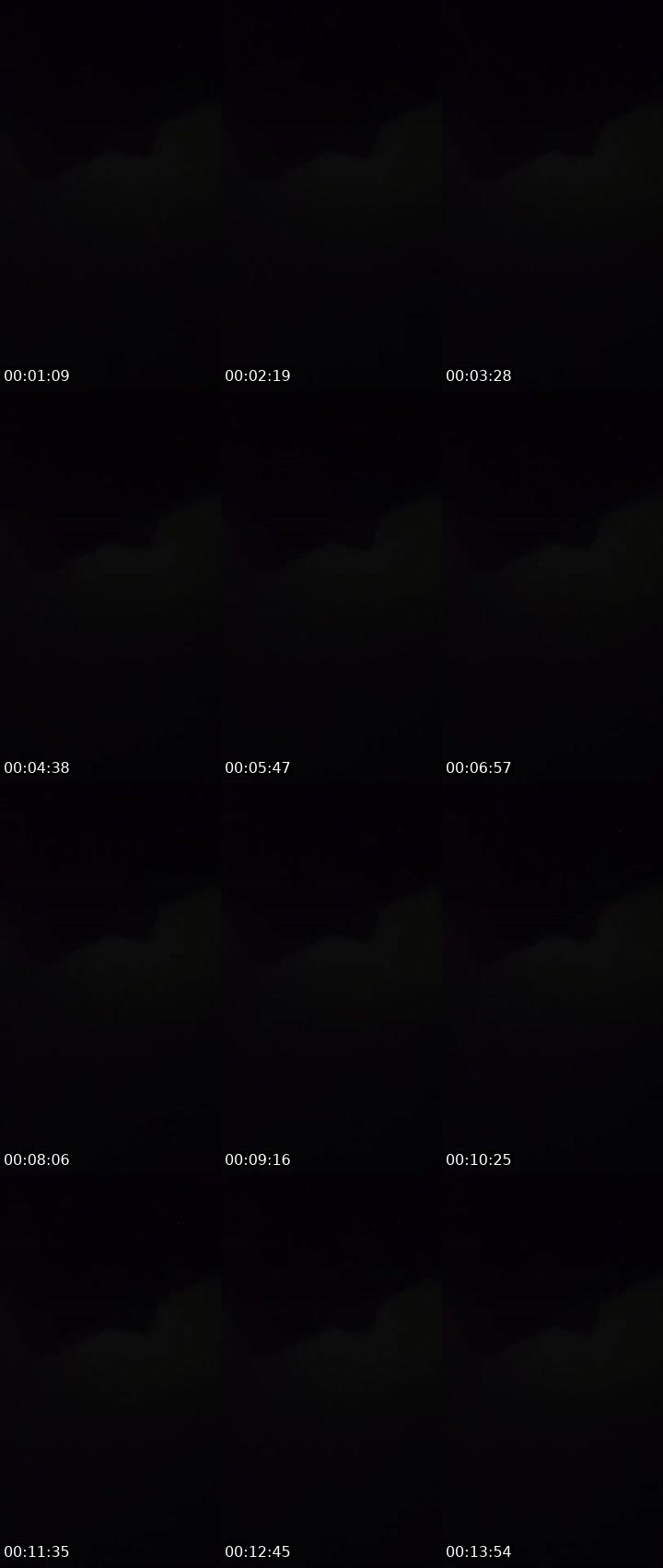 Contact-sheet preview of 🐼💞ℙ𝜶ŋ𝐝𝕚⍑ⱥ👀🤍🖤🄼🦁🍻's MICO Live recording