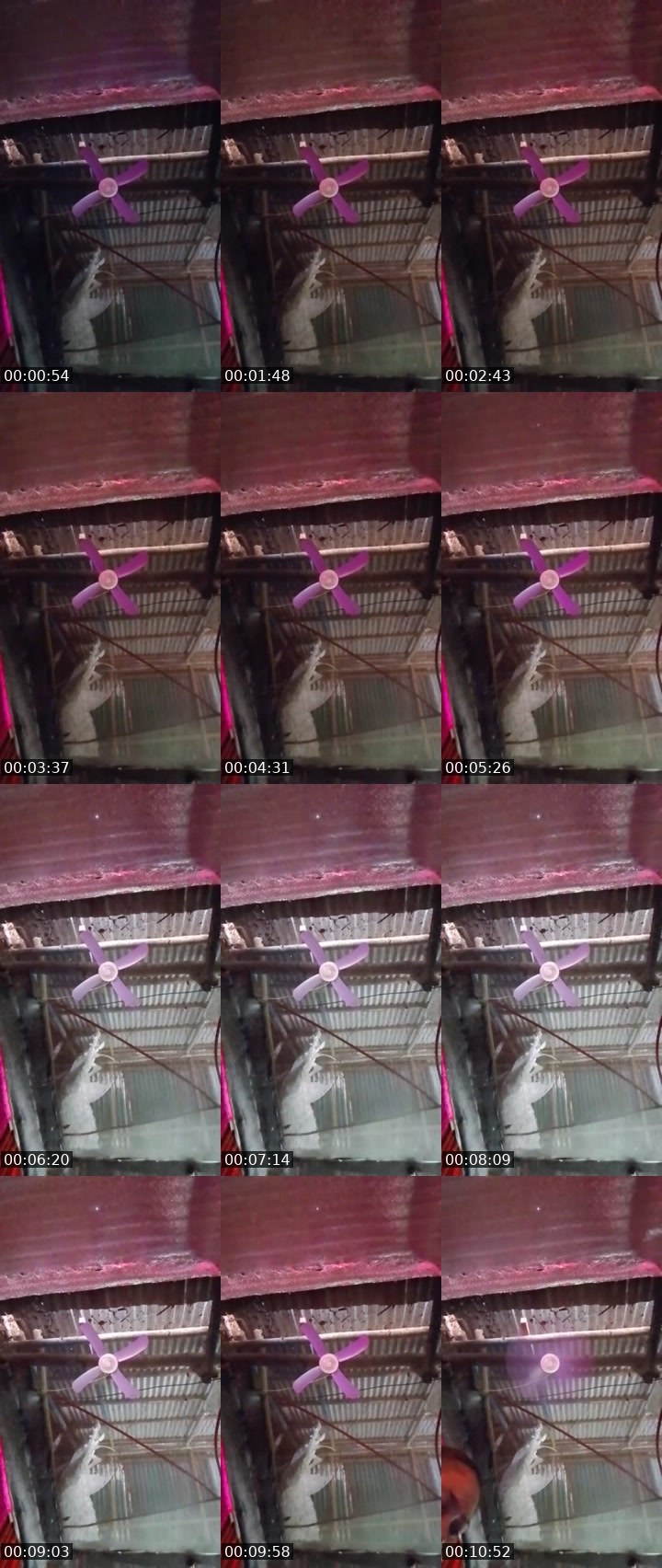 Contact-sheet preview of 🐈☪️_Jangmi_🍁MHA🪽⁷⁷⁴¹🍎's MICO Live recording