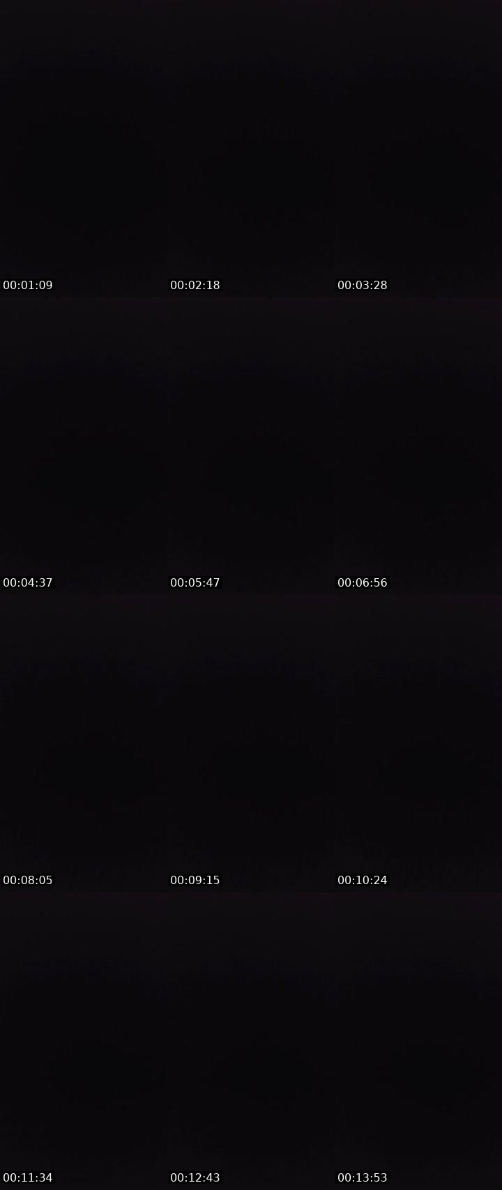 Contact-sheet preview of 〄ᶫ LΞG i̶〄И's MICO Live recording