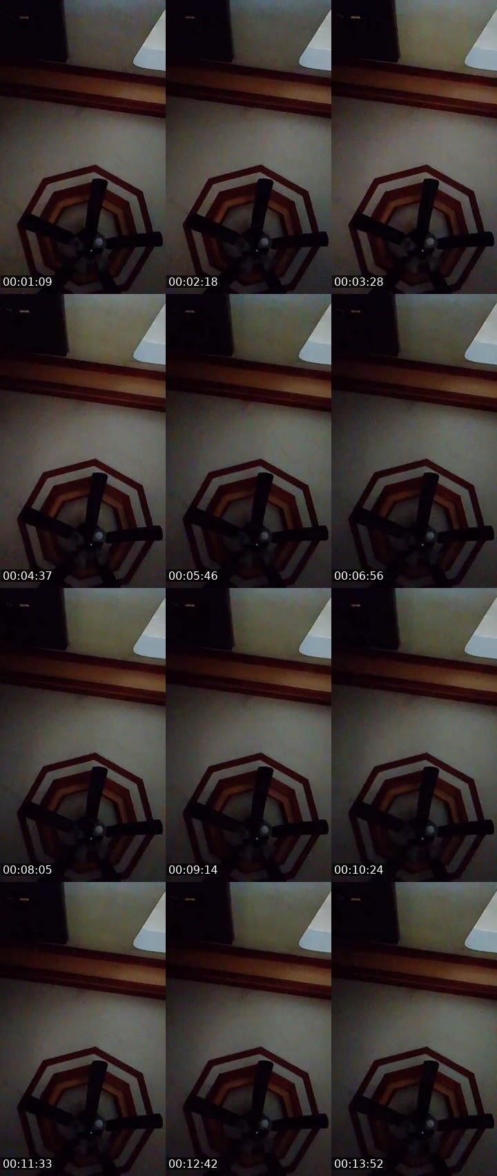 Contact-sheet preview of 🐞ᴸᴹ Jirah ᵀᴷᴹᴸ💠's MICO Live recording