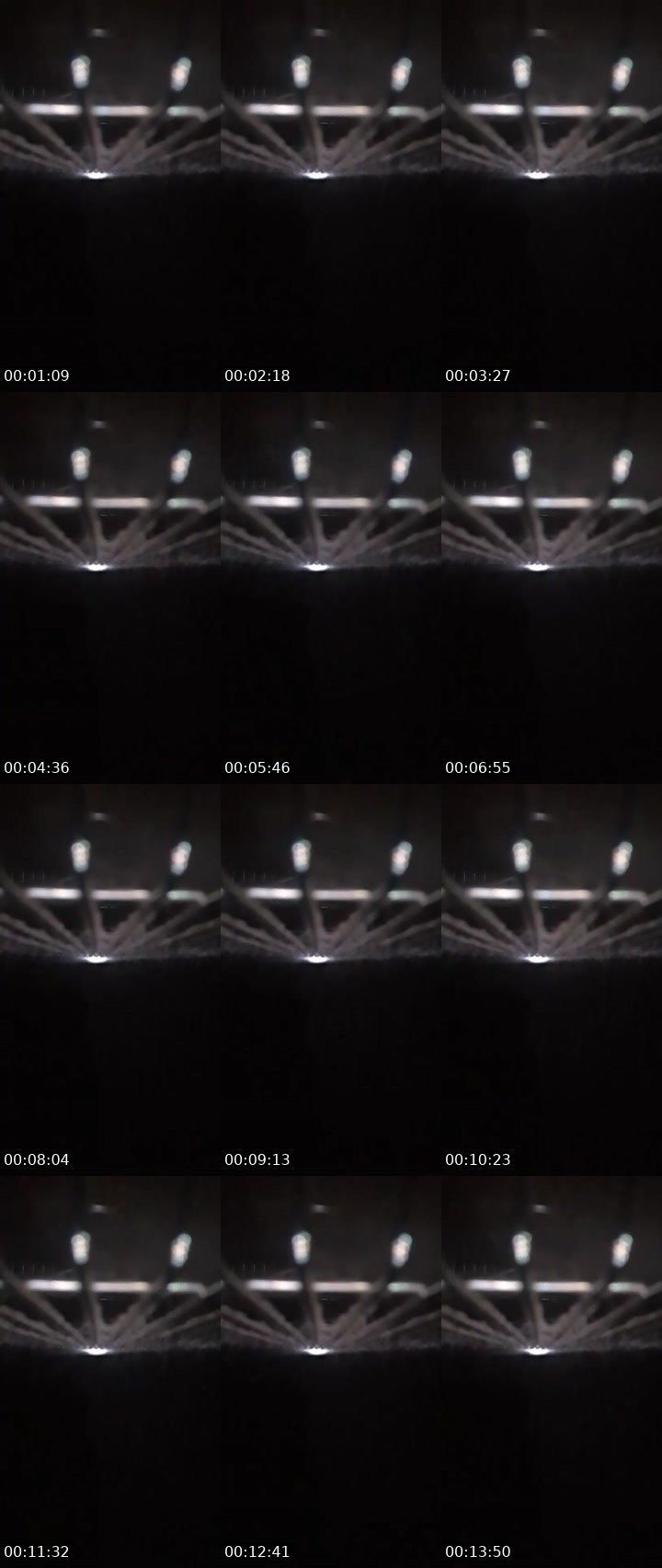 Contact-sheet preview of 💜RAIDEN's MICO Live recording