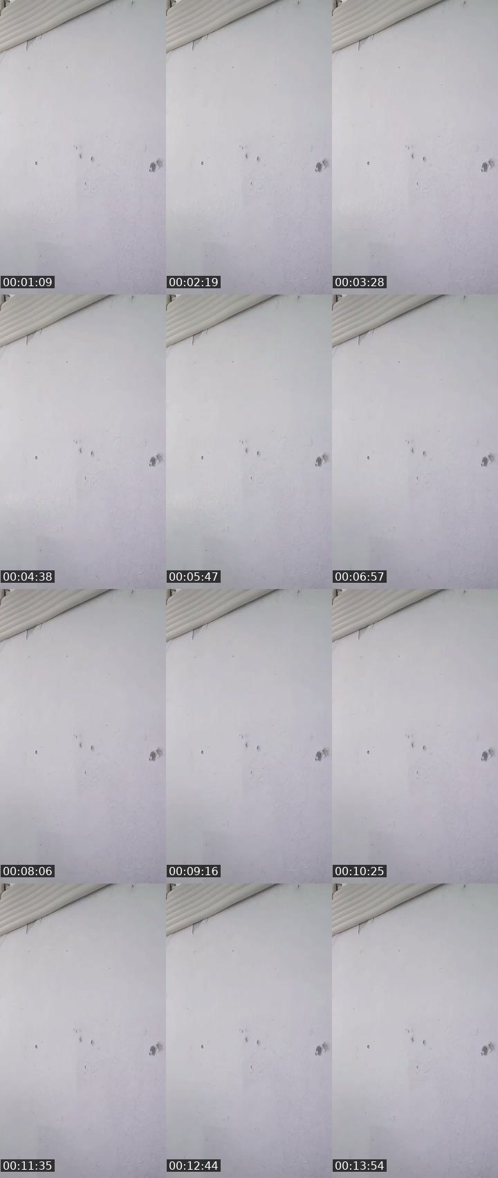 Contact-sheet preview of 🙀ᴸᴹ LOU 💠's MICO Live recording