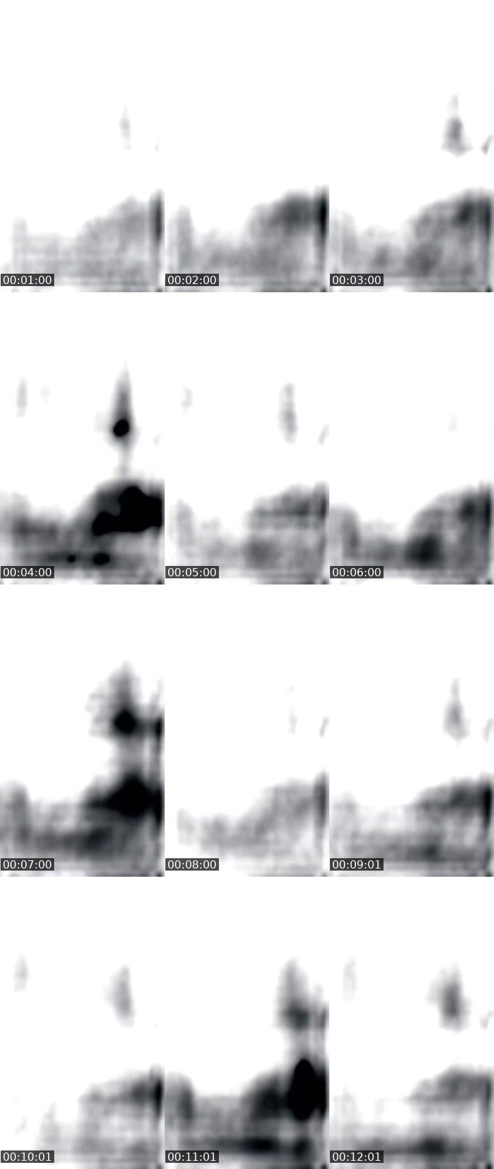 Contact-sheet preview of 600k🆙👑Angel Rossy🥑's MICO Live recording
