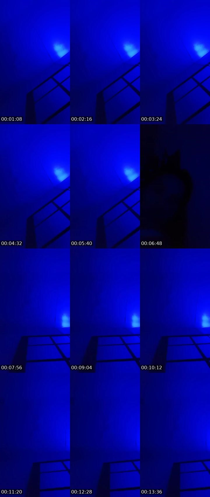 Contact-sheet preview of 🙀ᴸᴹKIM💠's MICO Live recording