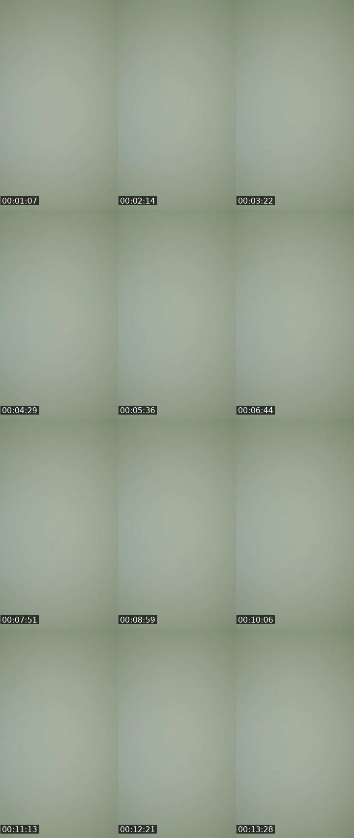 Contact-sheet preview of ✈️ SF_jopay✈️'s MICO Live recording