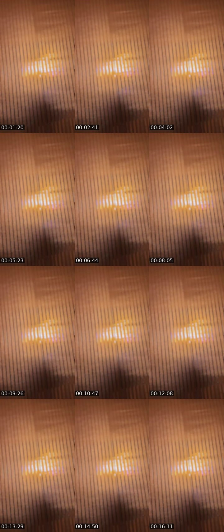 Contact-sheet preview of 💋⃟²⁰²⁰𝑺𝑪𝑨𝑹𝑳𝑬𝑻𝑻⚯͛🌱's MICO Live recording