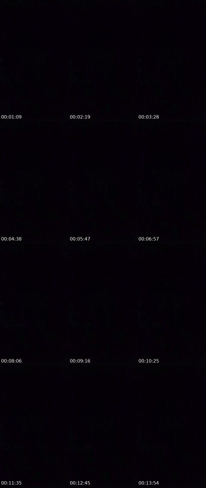 Contact-sheet preview of ♾️ CHAMPAGNE 🍾 🎱ᵂᵃᵛᵉˢ's MICO Live recording