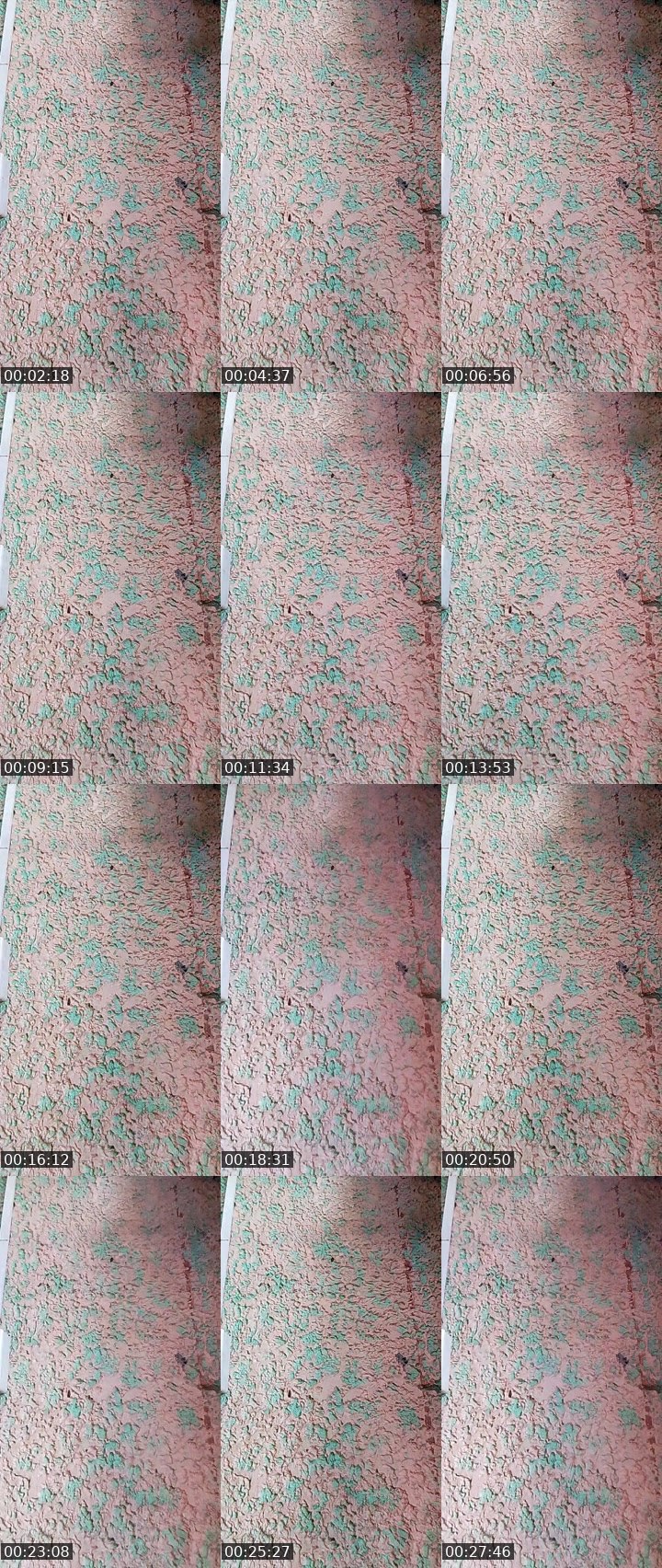 Contact-sheet preview of 🙀ᴸᴹABRIL💠's MICO Live recording
