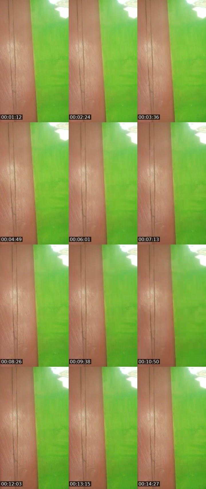 Contact-sheet preview of ᵀᴴ᭄°Nanaa's MICO Live recording