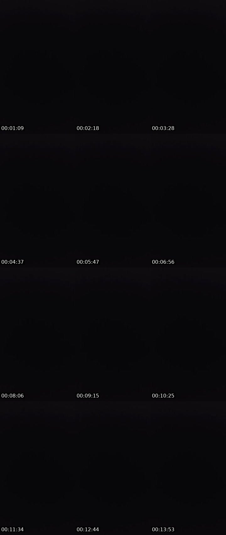 Contact-sheet preview of 〄ᶫ LΞG i̶〄И's MICO Live recording
