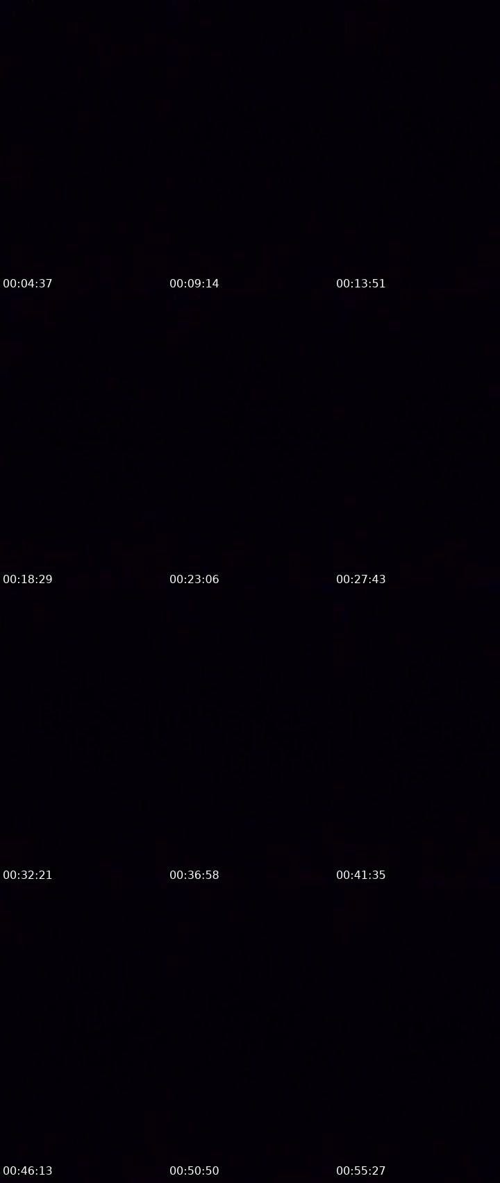 Contact-sheet preview of ₚₐₚᵢcₕᵤₗₗₒ𝖆𝖚𝖑 [𝙴𝙲𝙻𝙿𝚂]'s MICO Live recording