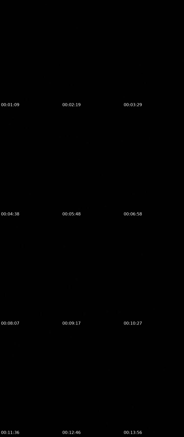 Contact-sheet preview of 💠🦋ᷮ🐾℘𝑟ͥ!𝑛ͣ𝑐ͫe§D'BiggDogg's MICO Live recording