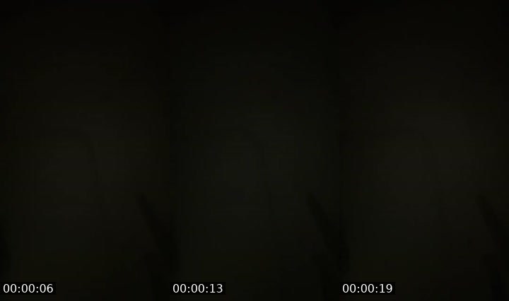 Contact-sheet preview of [TT] Trinh's MICO Live recording