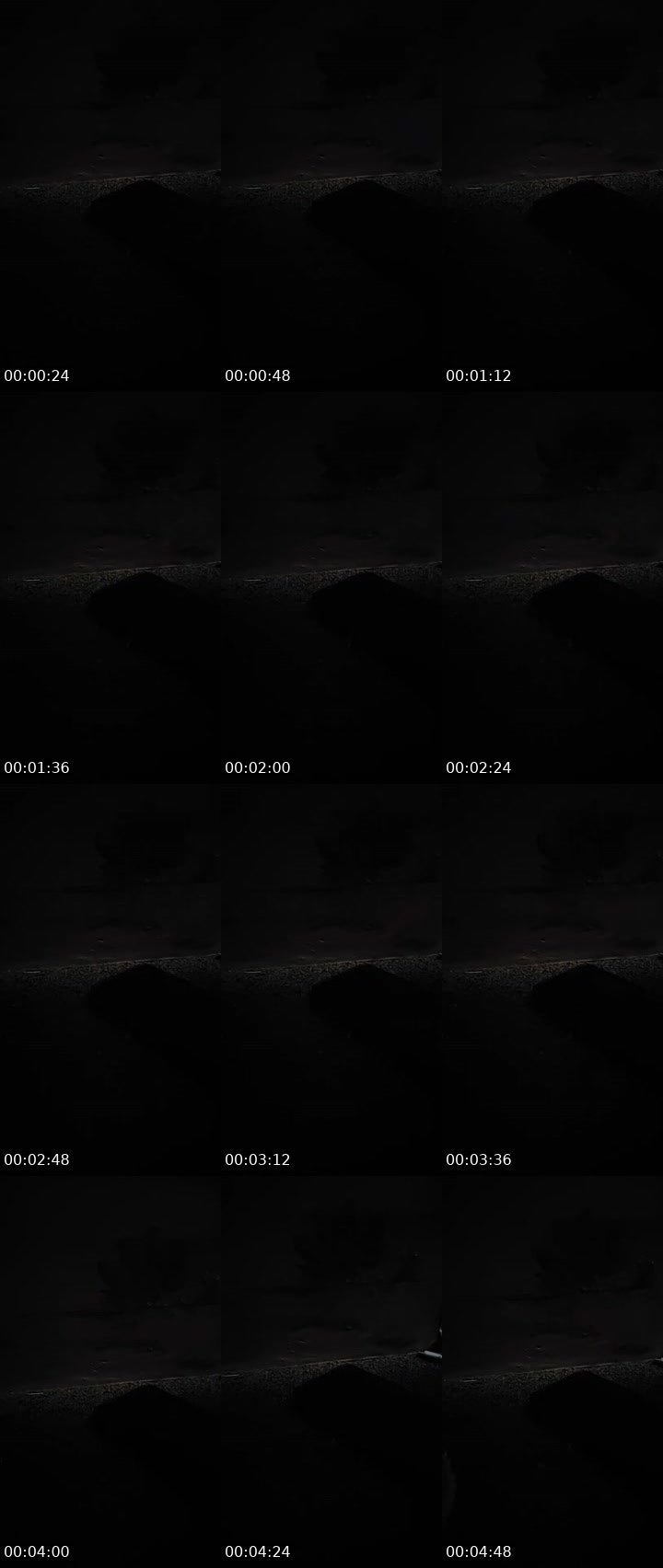 Contact-sheet preview of 🕋🅺🆄🅽's MICO Live recording