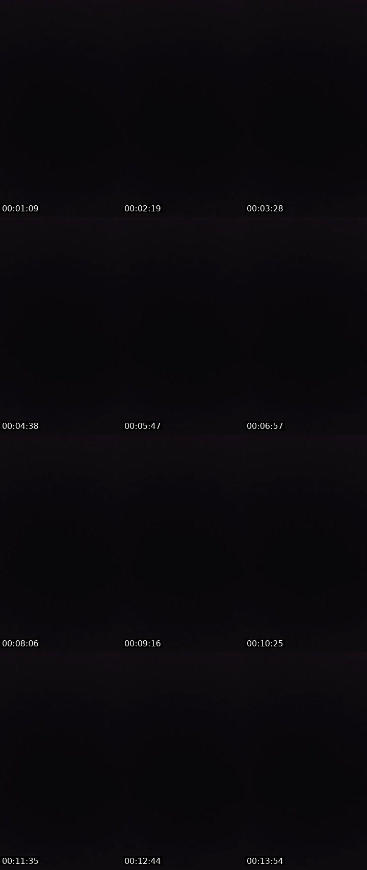 Contact-sheet preview of 〄ᶫ LΞG i̶〄И's MICO Live recording