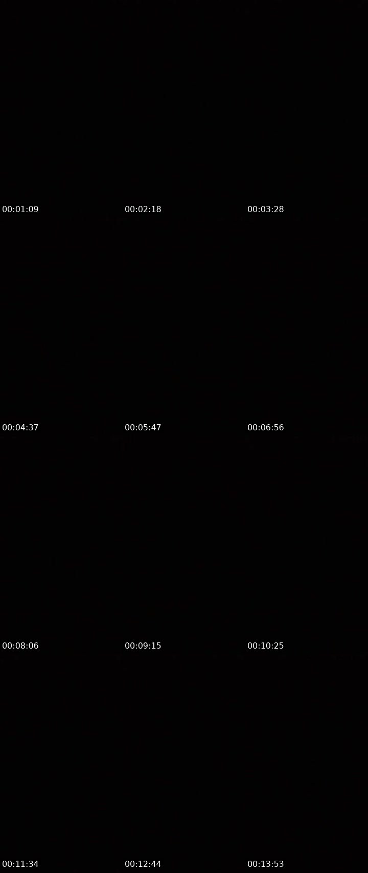 Contact-sheet preview of SILENT's MICO Live recording
