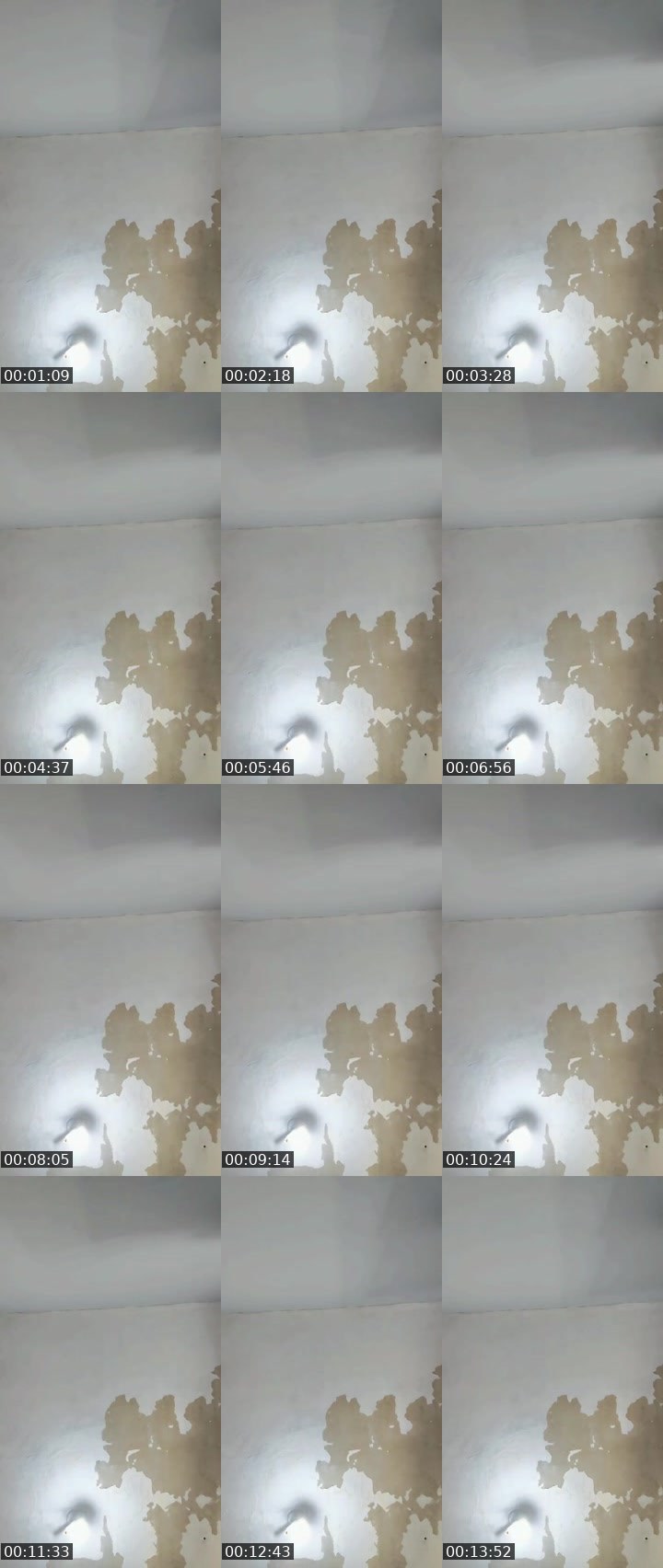 Contact-sheet preview of 🦁Luna🅥.🅛.🅐🤳's MICO Live recording
