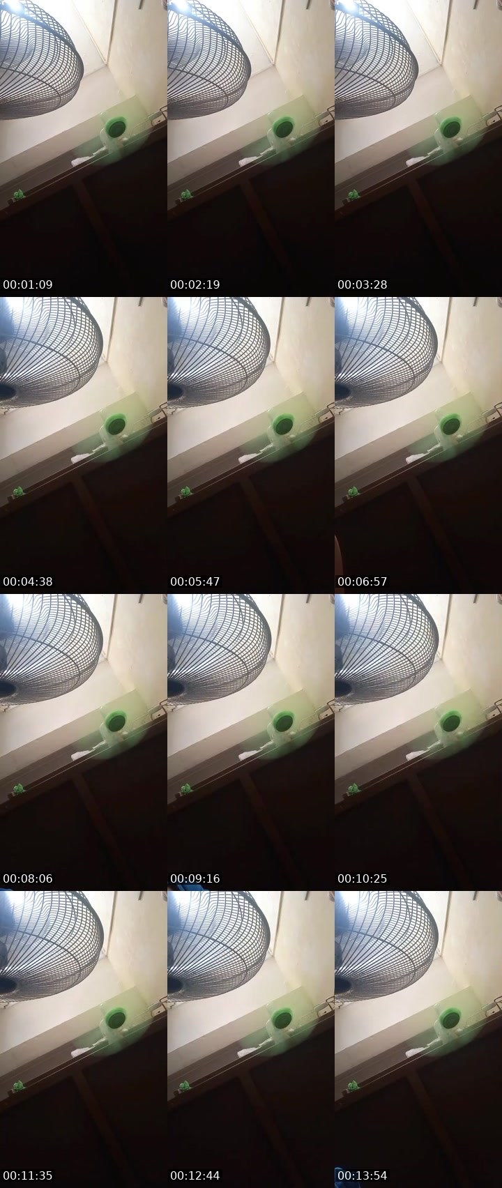 Contact-sheet preview of 𝔼𝕝𝕒𝕚𝕟𝕖🅴🆈🅴🦅🤗's MICO Live recording