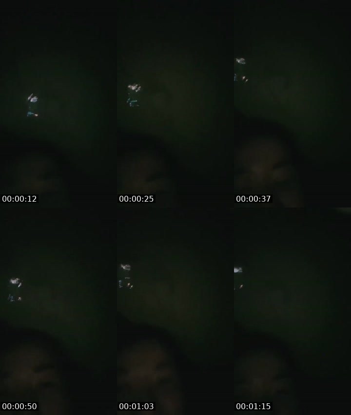 Contact-sheet preview of 𝓗à đâ𝓎🌸(っ◔◡◔)っ's MICO Live recording