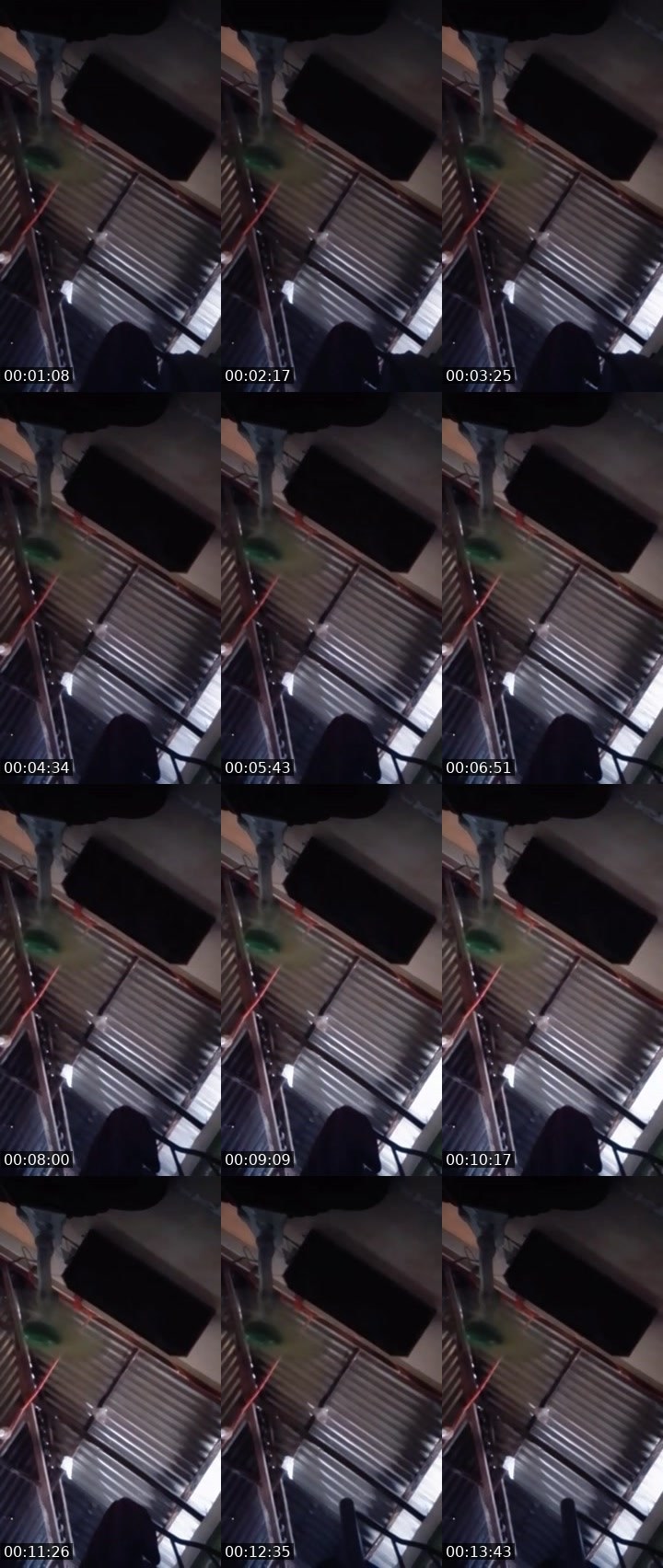 Contact-sheet preview of 🌠IVY.𝐍𝐎𝐕𝐀🌙's MICO Live recording