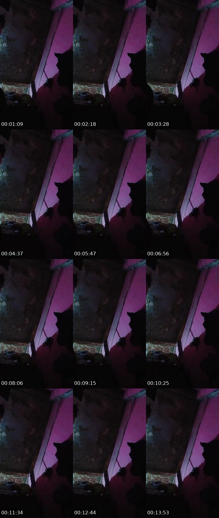 Contact-sheet preview of ~Distyˣᶦᵉˣᶦᵉ's MICO Live recording