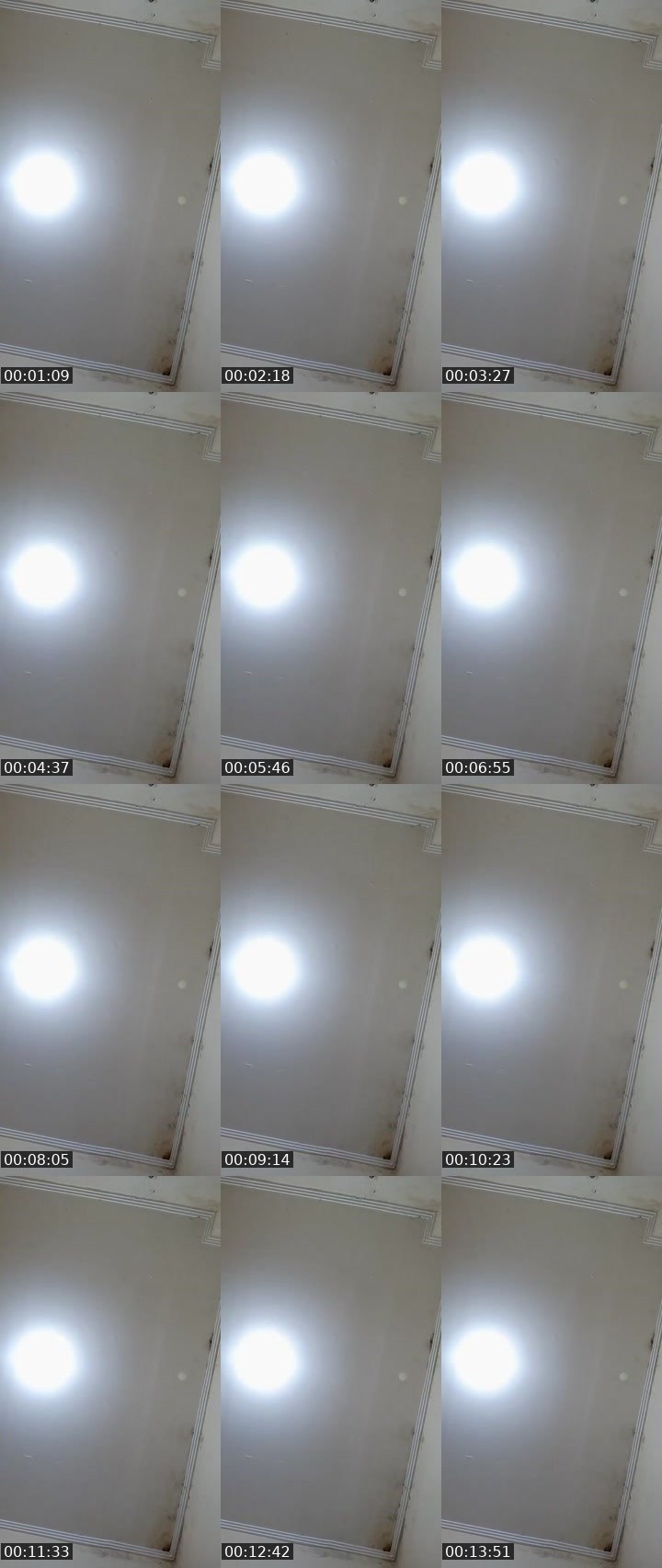 Contact-sheet preview of ᵀᴴ᭄⚡Ani  Bucin✌'s MICO Live recording