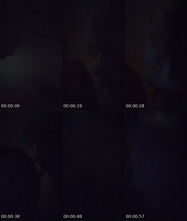 Contact-sheet preview of 🤏🏻COBRA🤏🏻 Luna's MICO Live recording