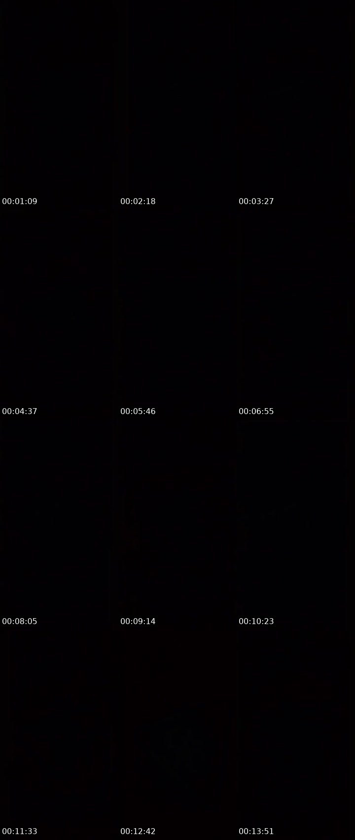 Contact-sheet preview of 🌠IVY.𝐍𝐎𝐕𝐀🌙's MICO Live recording