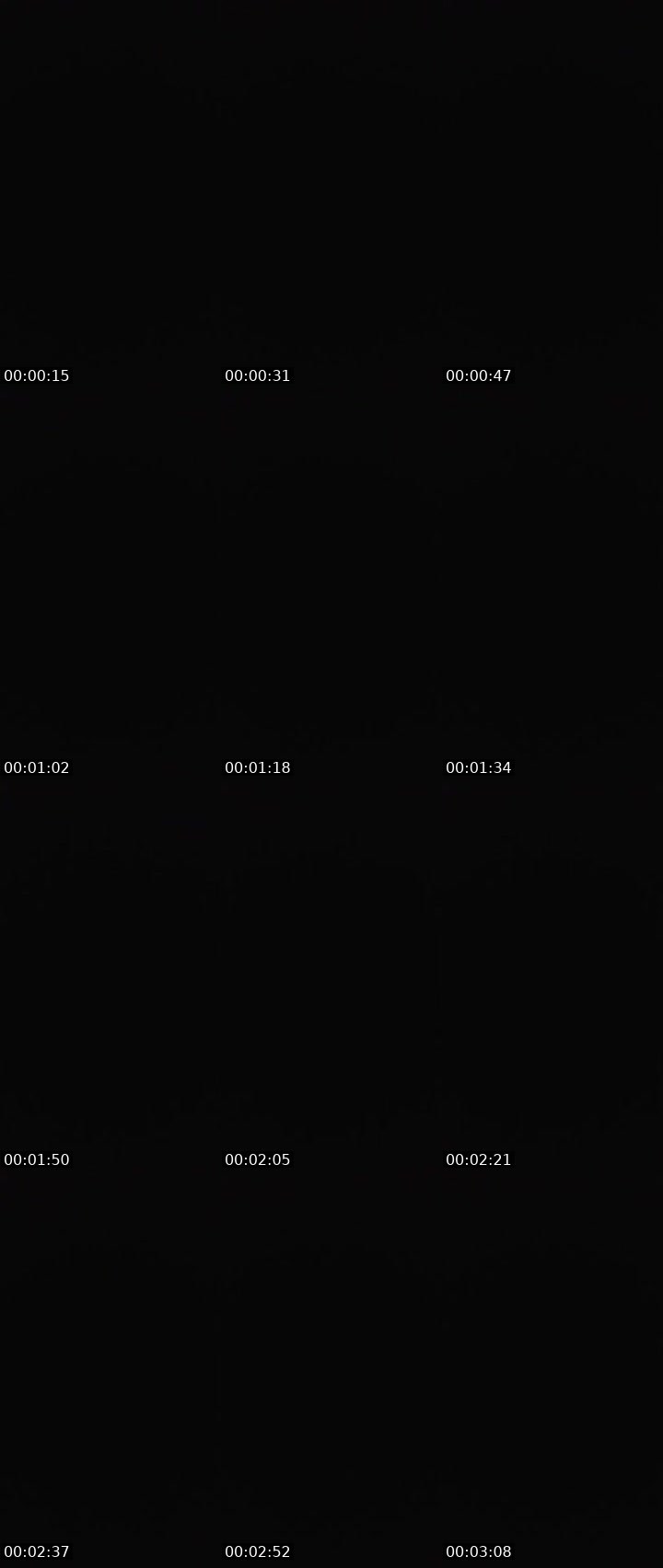 Contact-sheet preview of 🐞ᴸᴹℭ𝔥𝔯𝔦𝔰💠ₜ𝓏💮's MICO Live recording