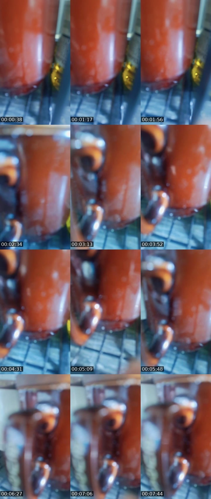 Contact-sheet preview of 从卄乚💛༒Serbidoraωͥкͣтͫα's MICO Live recording