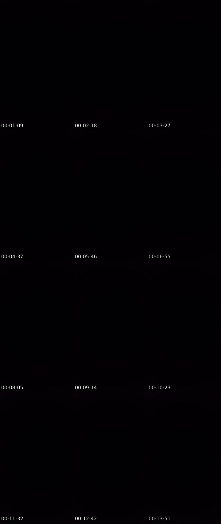Contact-sheet preview of 🤝Jopay⁷⁰⁸³🦅's MICO Live recording