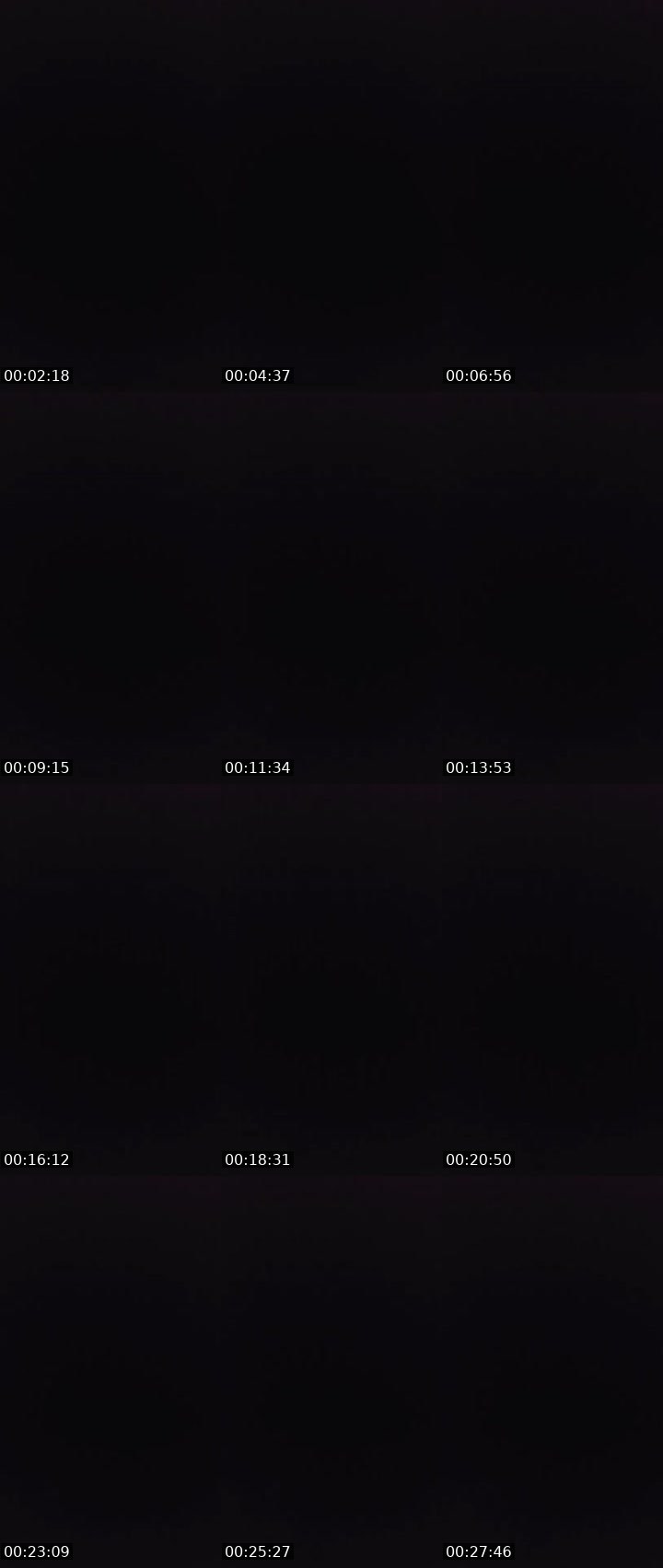 Contact-sheet preview of 〄ᶫ LΞG i̶〄И's MICO Live recording