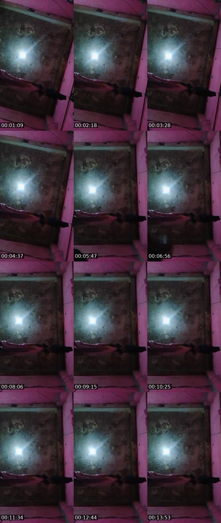 Contact-sheet preview of ~Distyˣᶦᵉˣᶦᵉ's MICO Live recording
