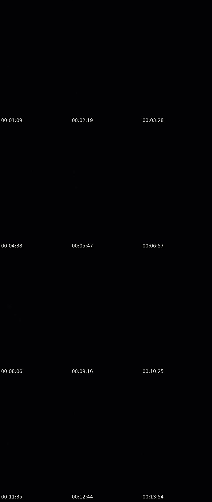 Contact-sheet preview of 🅑🅛🐽SASSY🦁☠️'s MICO Live recording