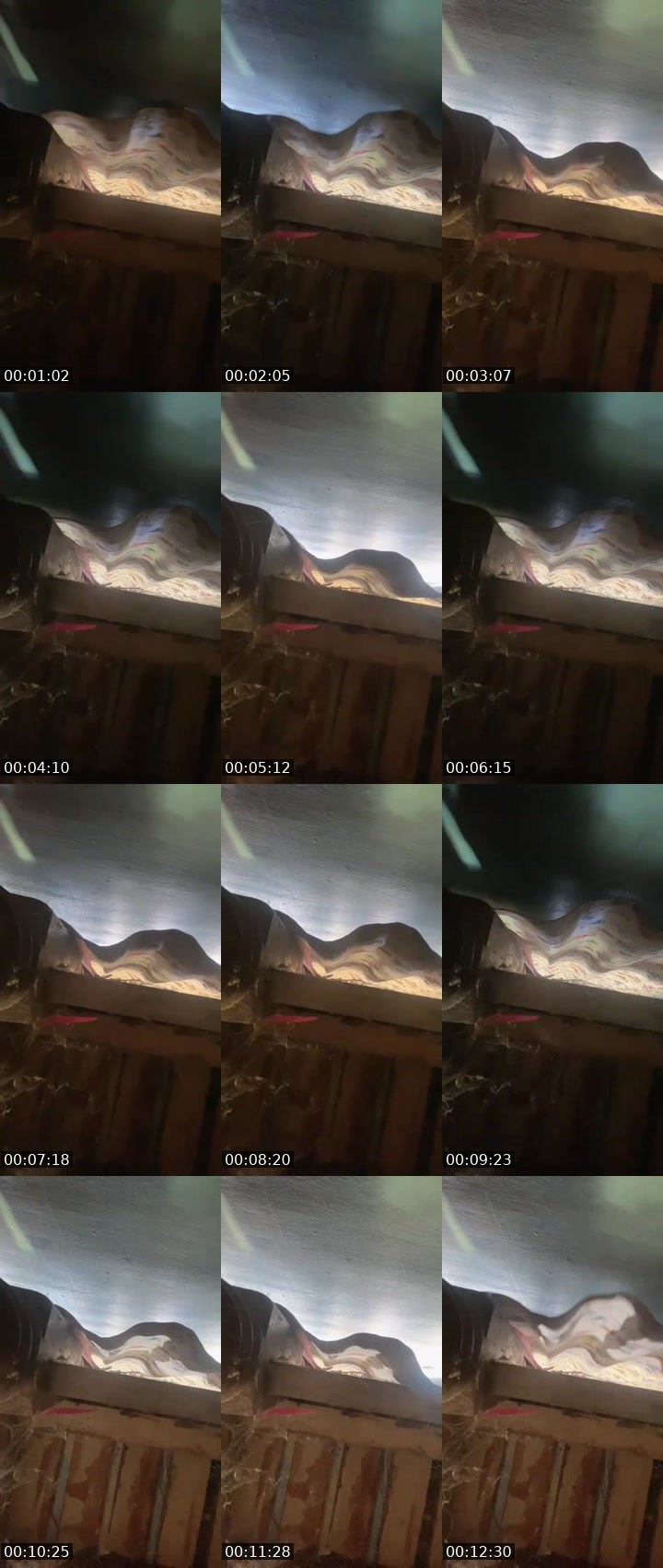 Contact-sheet preview of 🐈🍊𝐑𝐀𝐑𝐀.𝐍𝐎𝐕𝐀💫's MICO Live recording