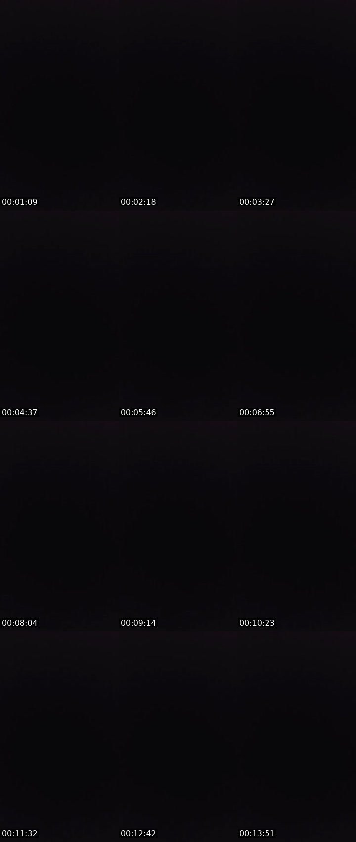 Contact-sheet preview of 〄ᶫ LΞG i̶〄И's MICO Live recording