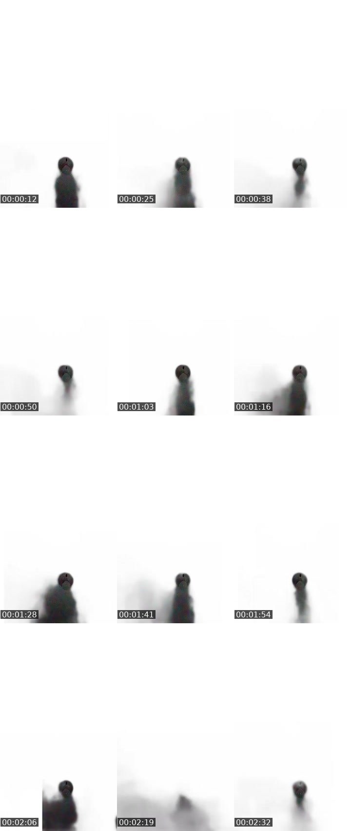 Contact-sheet preview of 🕊️ JUANITA 💃's MICO Live recording
