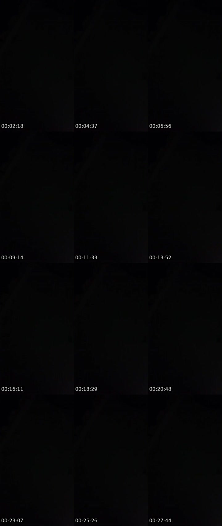 Contact-sheet preview of 🅷︎🅶︎✞︎🤝 Lengleng🦅-unity's MICO Live recording