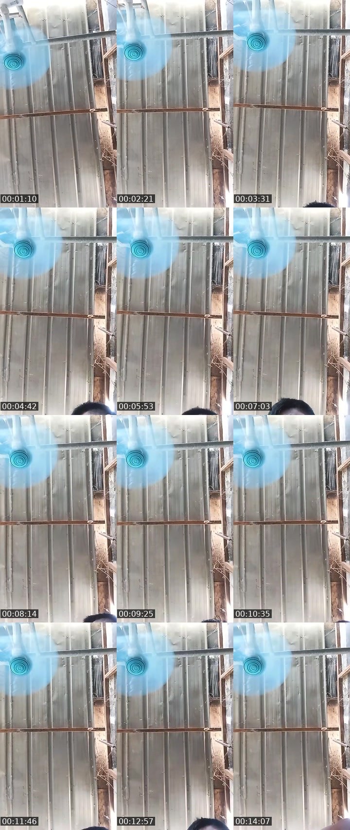 Contact-sheet preview of 🐼MARVS🎱ᵂᵃᵛᵉˢ's MICO Live recording