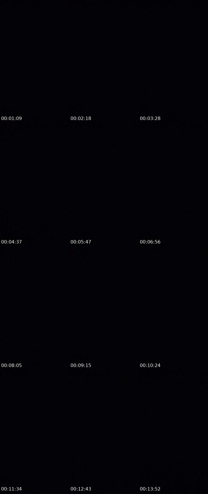 Contact-sheet preview of ☪️Teena⚜️MHA🪽7741's MICO Live recording