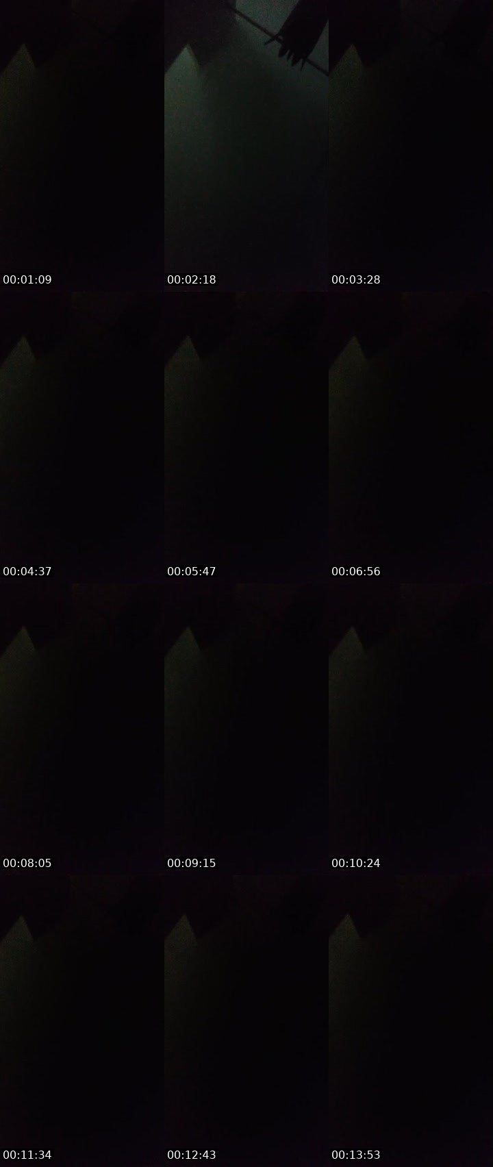 Contact-sheet preview of SMILE your HEART's MICO Live recording