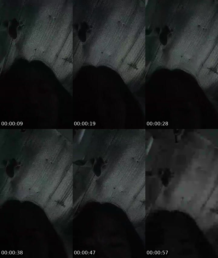 Contact-sheet preview of 🐉ᴸᴹThrissia💠's MICO Live recording