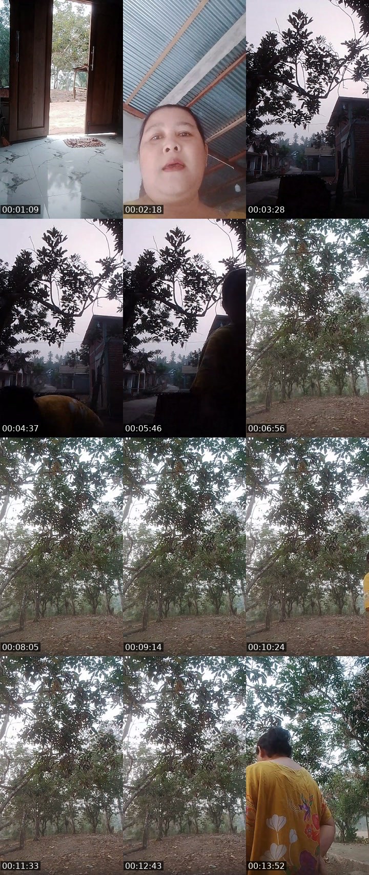 Contact-sheet preview of Lizaᴴᵃᵇᵒspawn's MICO Live recording